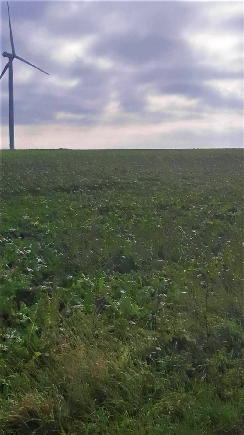 Balade en Val de Saane - Belleville-en-Caux