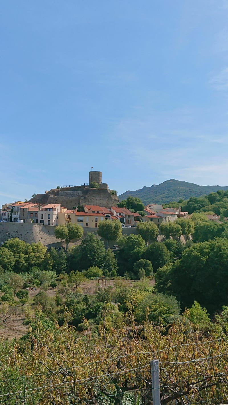Découverte des environs de Laroque des Alberes - Laroque-des-Albères