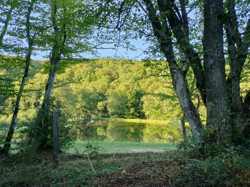 Dans la fraicheur de la forêt de Bonnevaux - Villeneuve-de-Marc