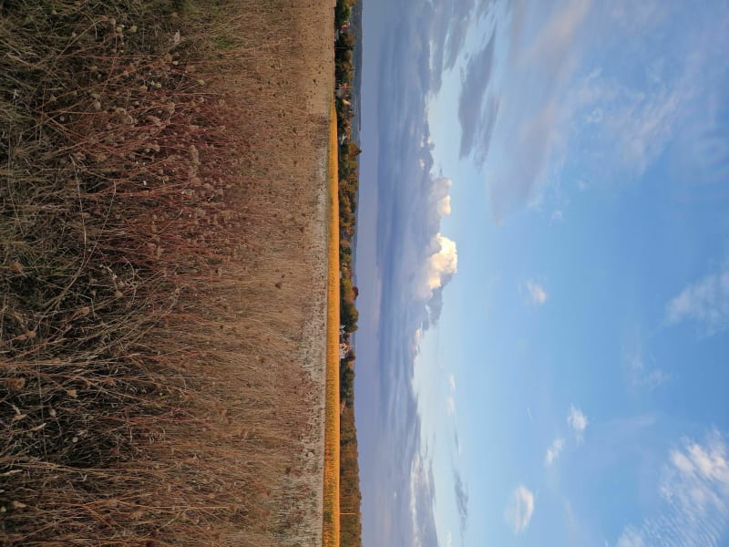 A travers les champs - Saâcy-sur-Marne