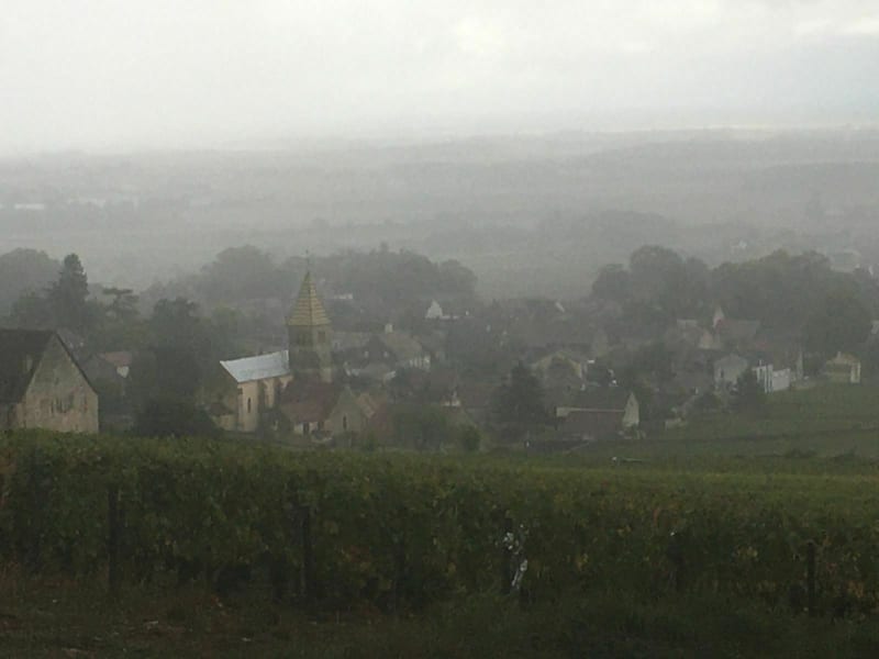 Jolie balade forestière dans la Dijonnais - Fixin