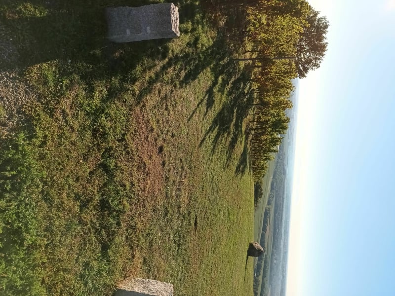 Balade autour de la Nécropole de Sigolsheim - Kaysersberg-Vignoble
