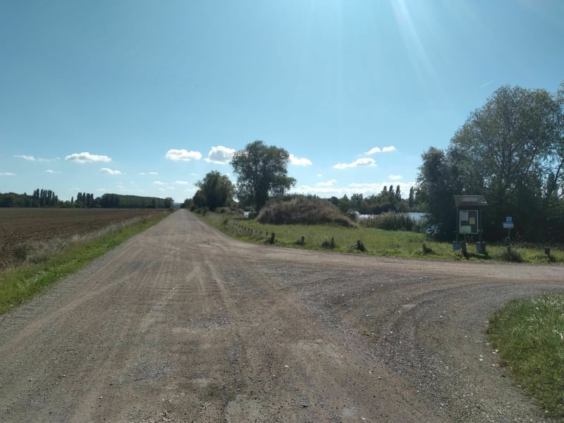 Étangs de Cuy de St Denis et bord de l'Yonne - Cuy