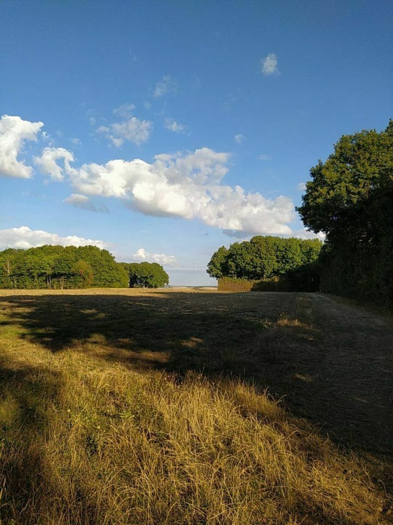 Les dessus de L'épine - Troyes