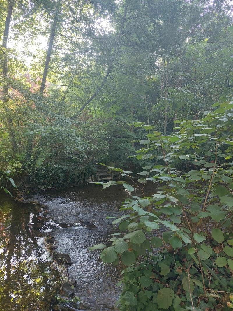 Promenade aux bords du Clain - Poitiers