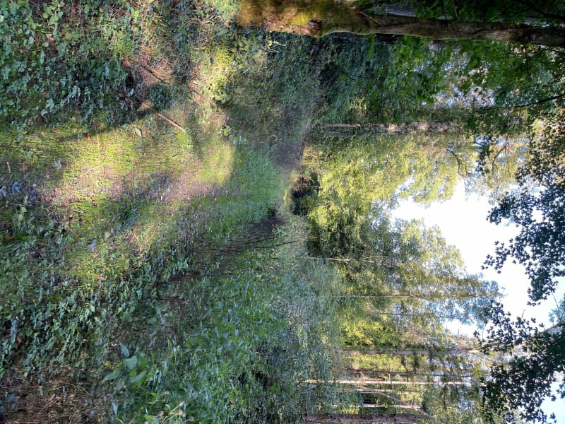 Gravel entre Nicey et Bar le Duc - Érize-Saint-Dizier
