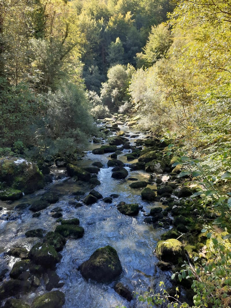 Randonnée Les chamois - Septmoncel les Molunes