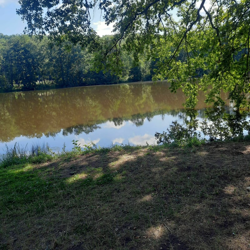 Sortie autour du Warnd en passant par l'Allemagne - Creutzwald