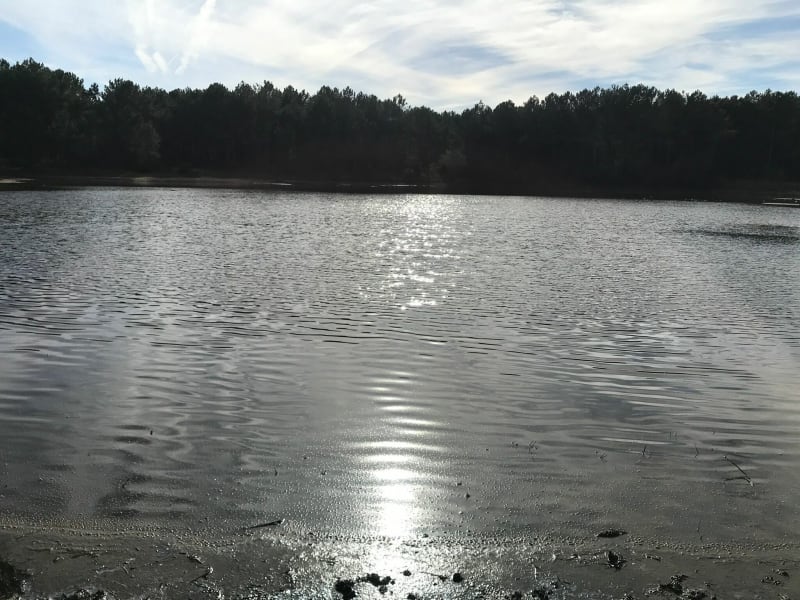 De Balen à Salin en passant par le lac de Tirelagüe - Mimizan