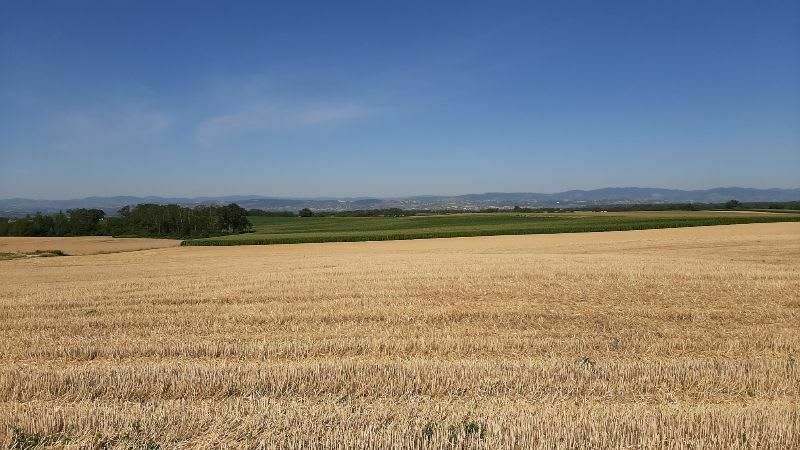 Les bords de Saône depuis Civrieux - Civrieux