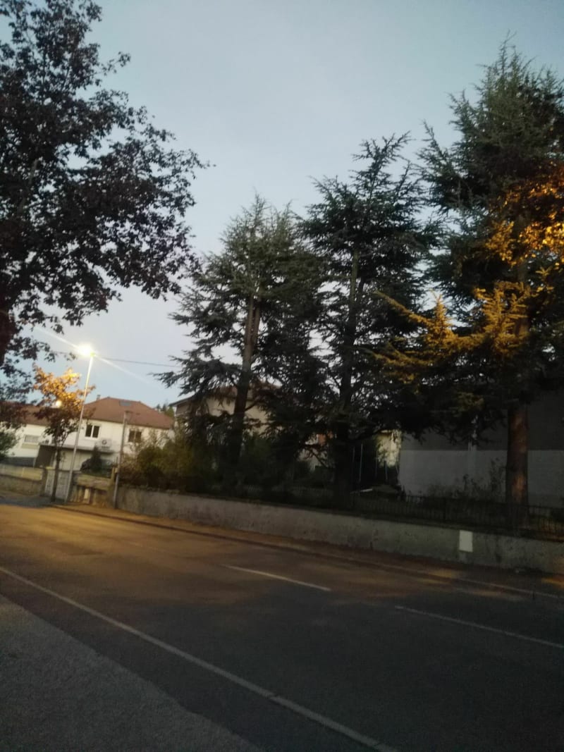 St Martin en Coailleux - Saint-Chamond