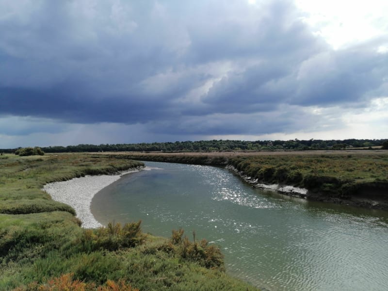 Entre marais et de la Guittière et la plage du Veillon - Talmont-Saint-Hilaire