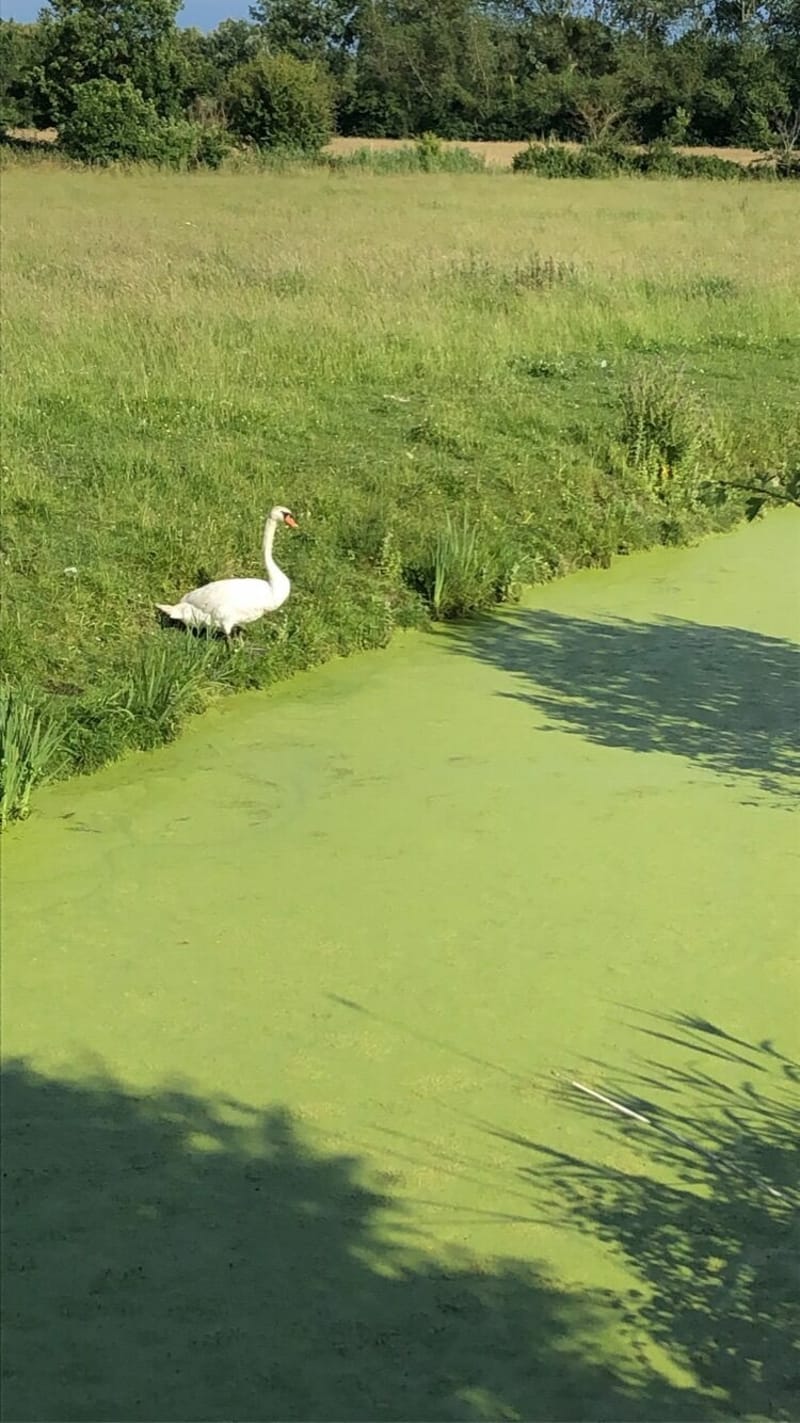 Balade en famille - Sainte-Marie-du-Mont