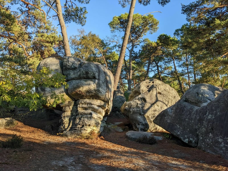 Forêt de Nemours et mer de sable - Nemours