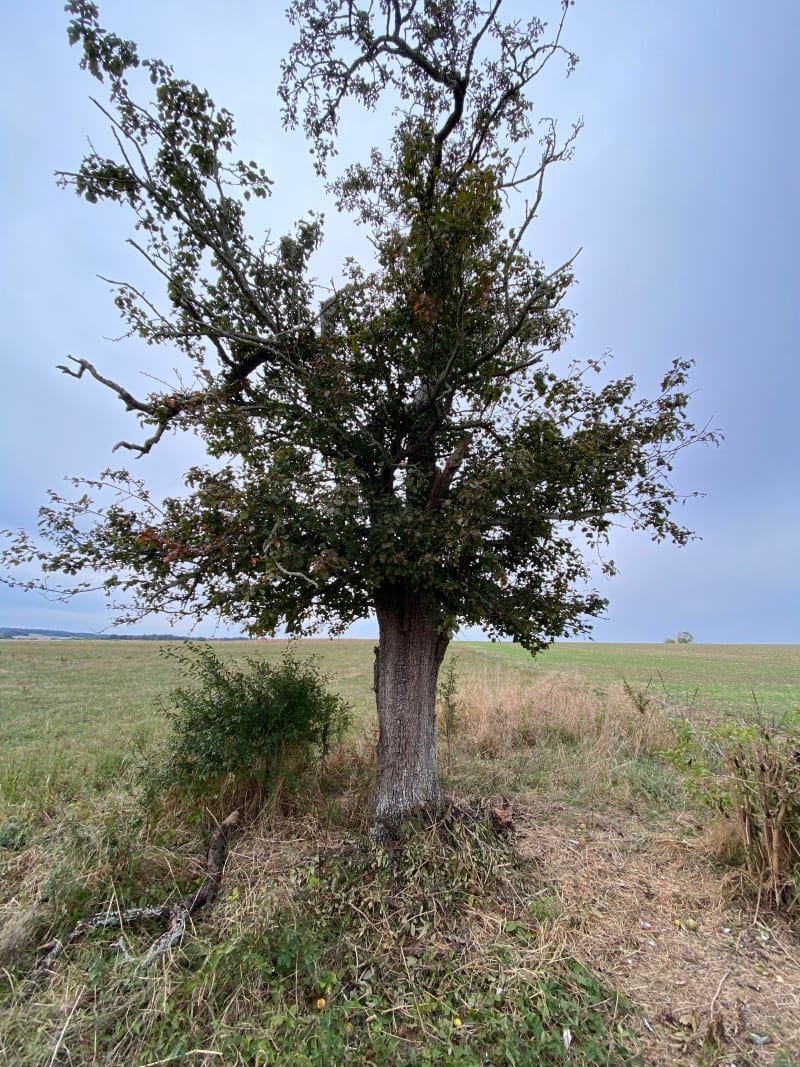 Autour du village de Septeuil - Septeuil
