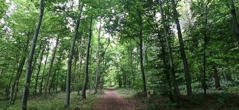 De Buicourt à Gerberoy en forêt - Gerberoy