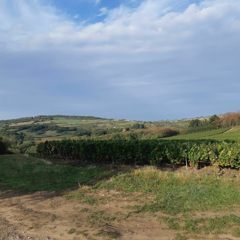 Depuis Rosey en passant par l'observatoire - Rosey