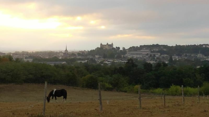 Les chemins de Terrefort - Saumur