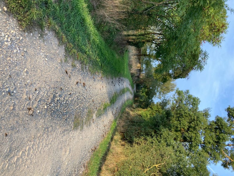 La campagne Champtocéenne - Champtocé-sur-Loire
