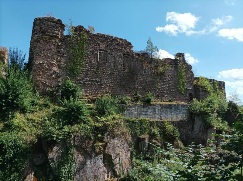 Château de Guirbaden depuis Heiligenberg-Mollkirch - Mollkirch