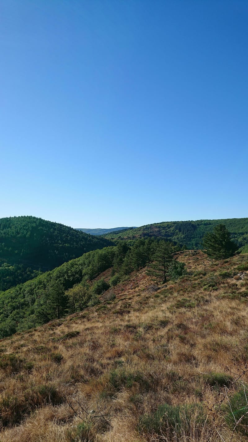 Découverte de Brassac et de ses environs immédiats - Saint-Pons-de-Thomières