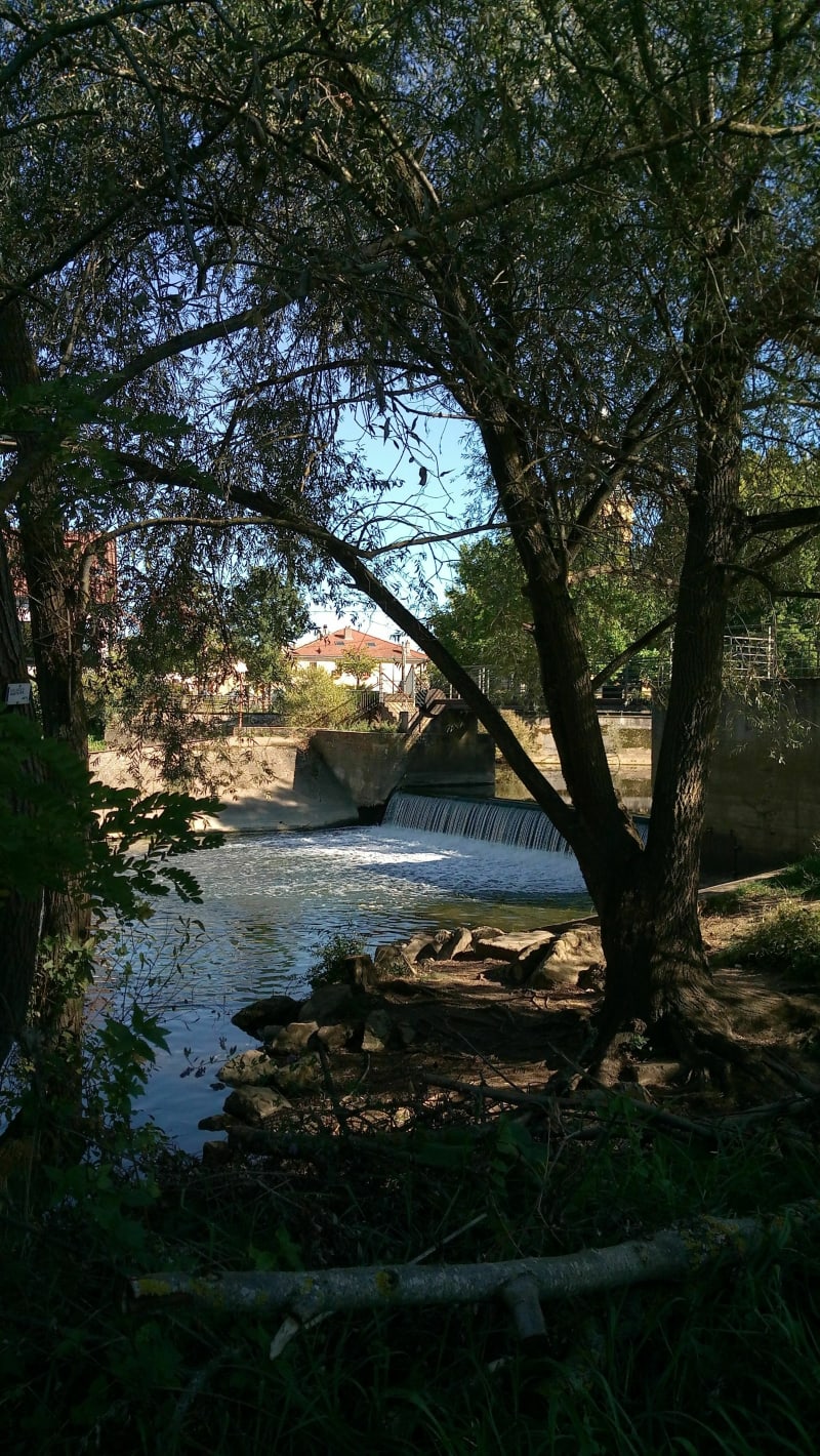 Balade le long de la Seille - Montigny-lès-Metz