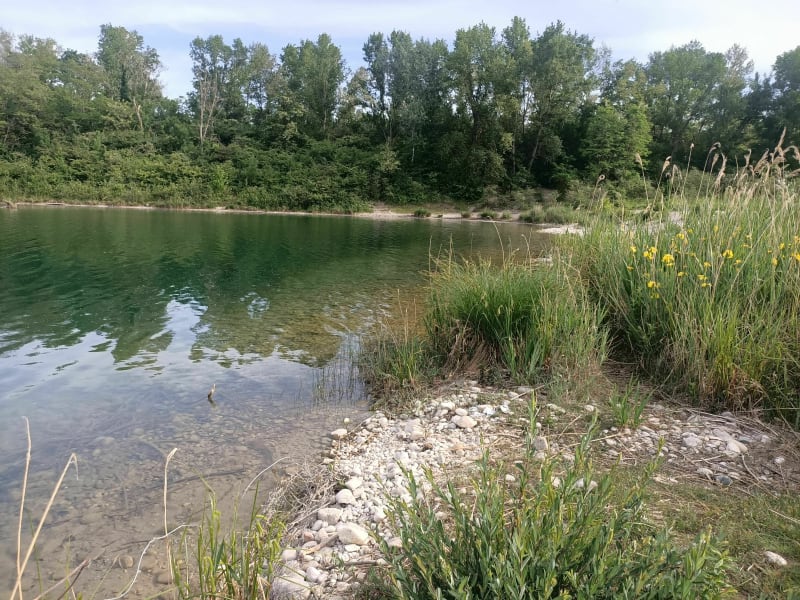 De Villeurbanne au Grand Large - Villeurbanne