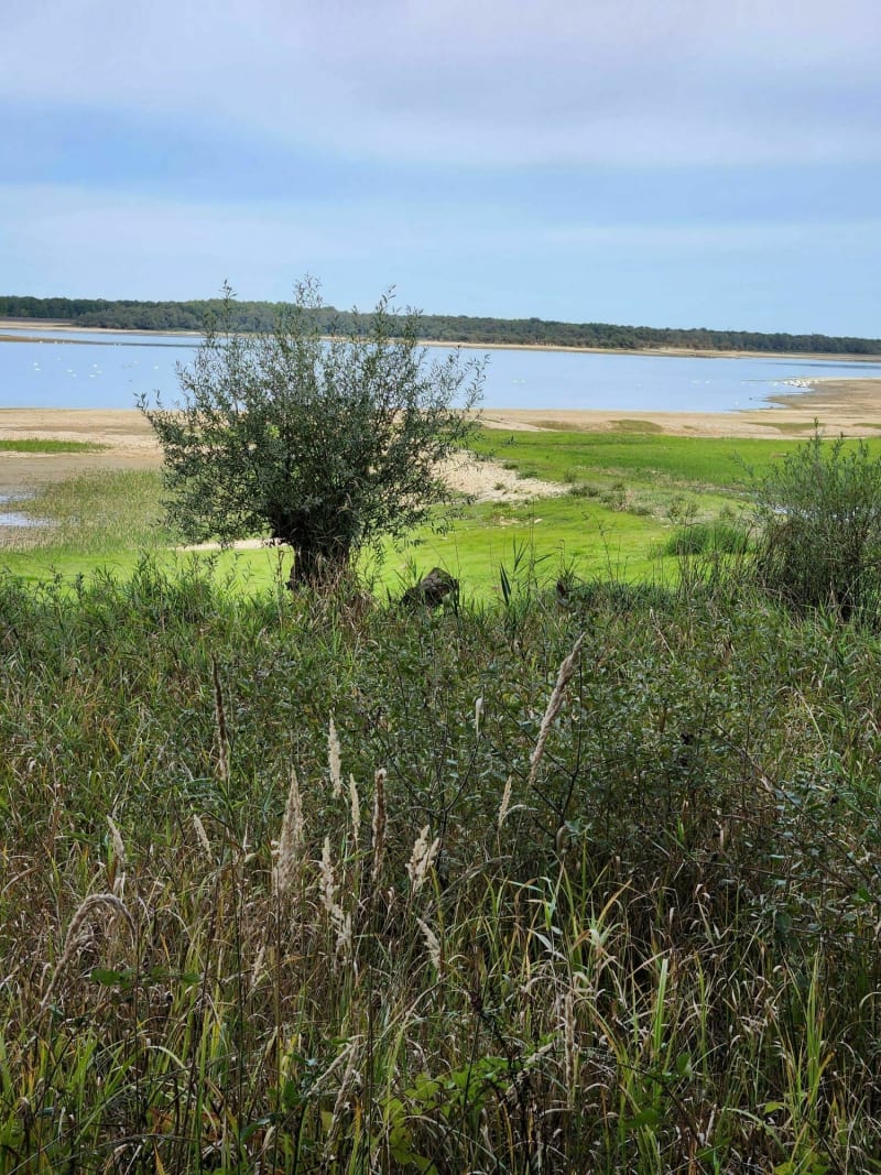 Balade à l'observatoire des oiseaux - Piney