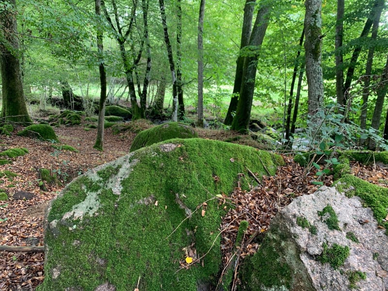 Rando à Tancon - Tancon