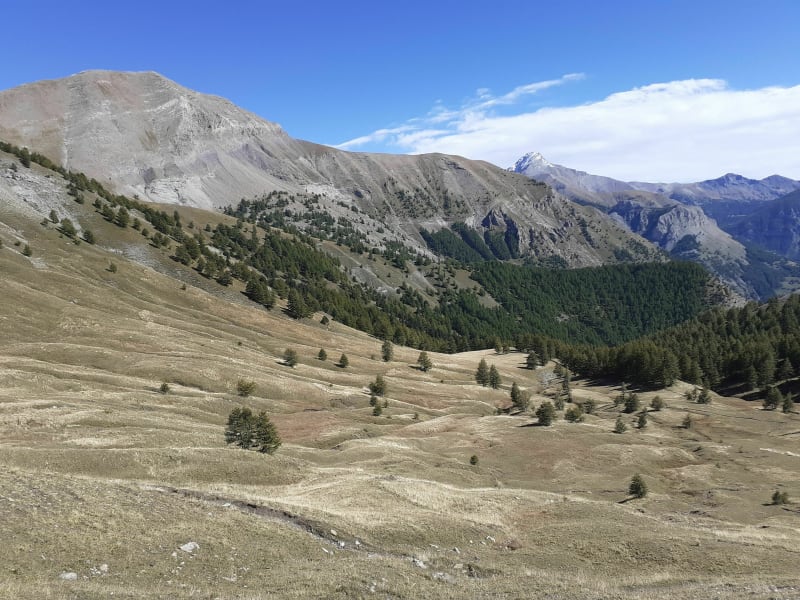 Col d'Allos- Sommet de Rochegrand - Uvernet-Fours