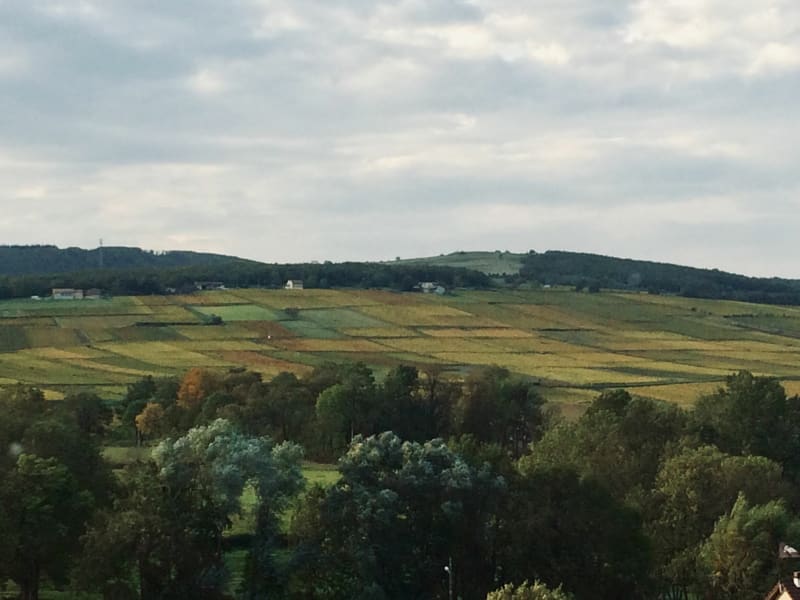 Tour du moulin de Verzé - Verzé