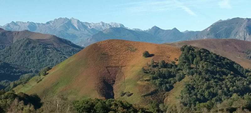 Cyclo, croix Blanche par Neuilh ! - Horgues