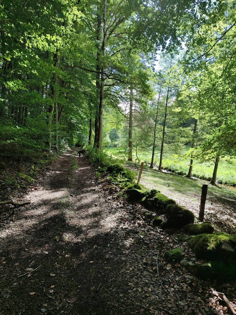 Circuit du Ruisseau de Gaschard - Magnat-l'Étrange