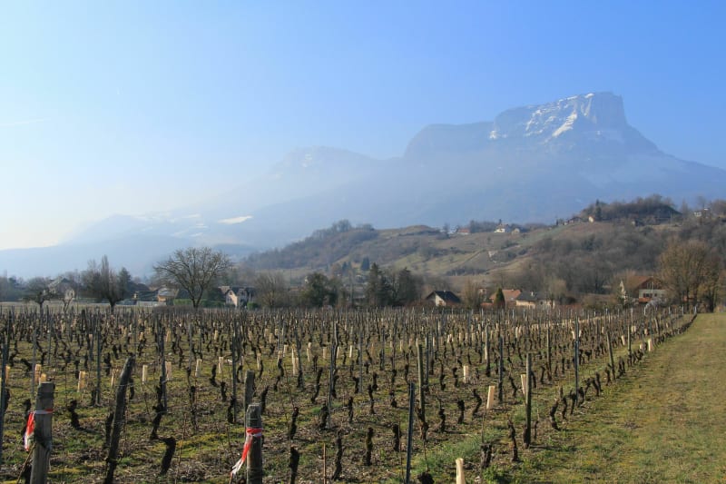 À la découverte de la catastrophe du Mont Granier - Chambéry