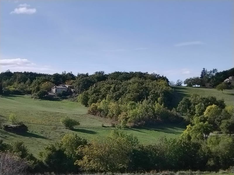 Bois de Sensouze, le Filan - Grane