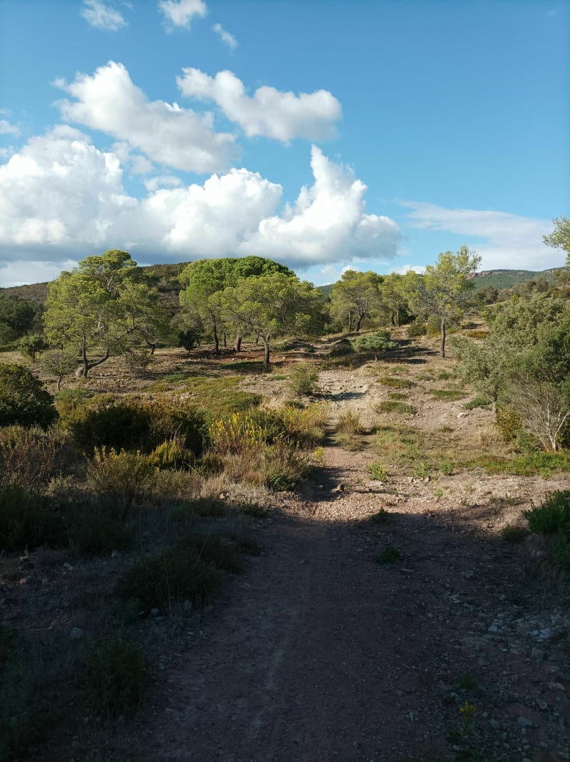 Ballade par la piste du trou de la Jarre - Roquebrune-sur-Argens
