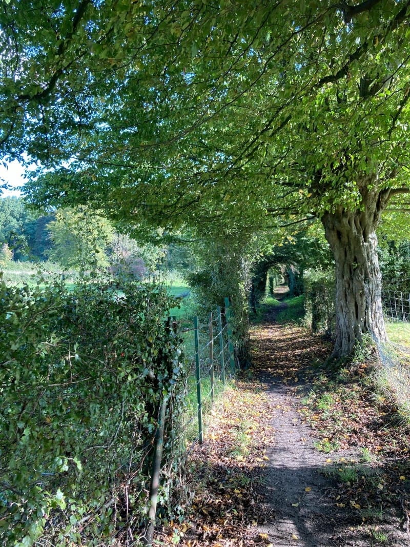 Belle balade dans les ruelles de Preux aux bois et forêt - Preux-au-Bois