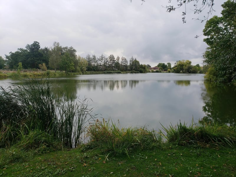 Étang Taron - Pacy-sur-Eure