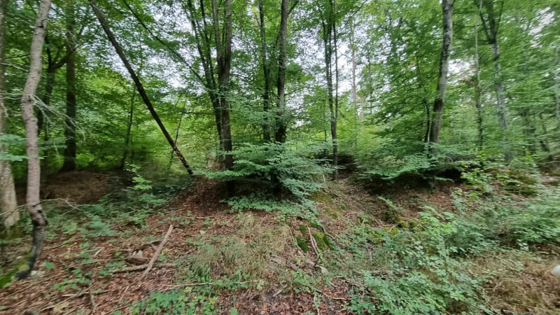 A partir de Vert Galant - Fontainebleau