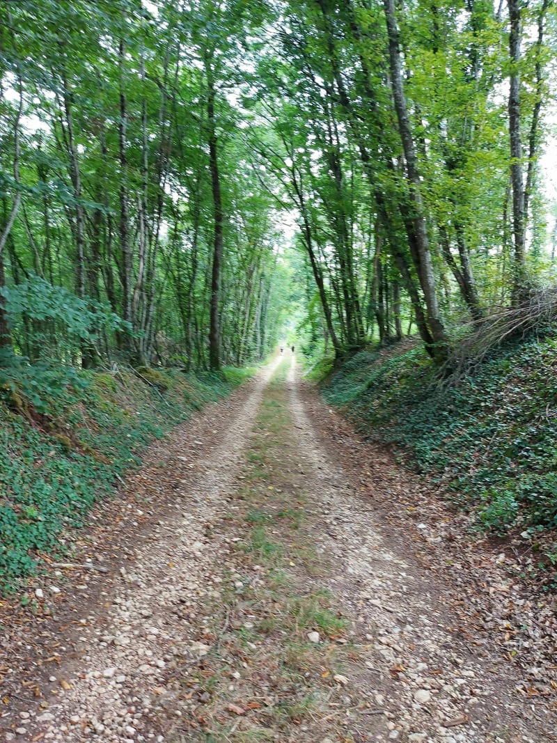Boucle sur Bleigny le Carreau - Venoy