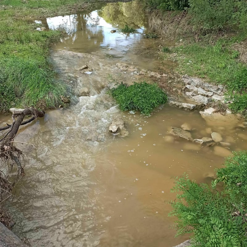 Balade dans les avants - Saint-Mathieu-de-Tréviers