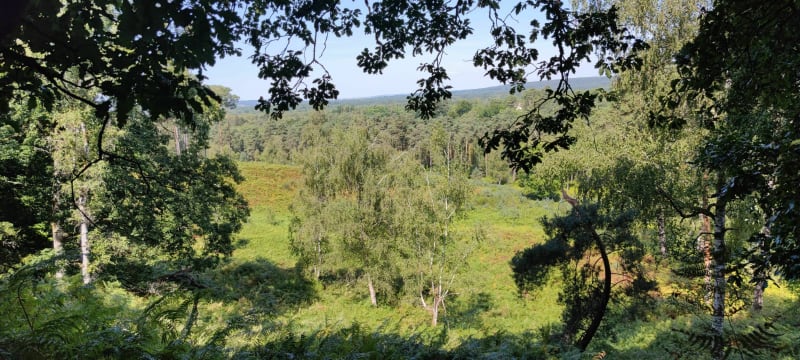 Randonnée forestière au Poteau de Pecqueuse - Poigny-la-Forêt