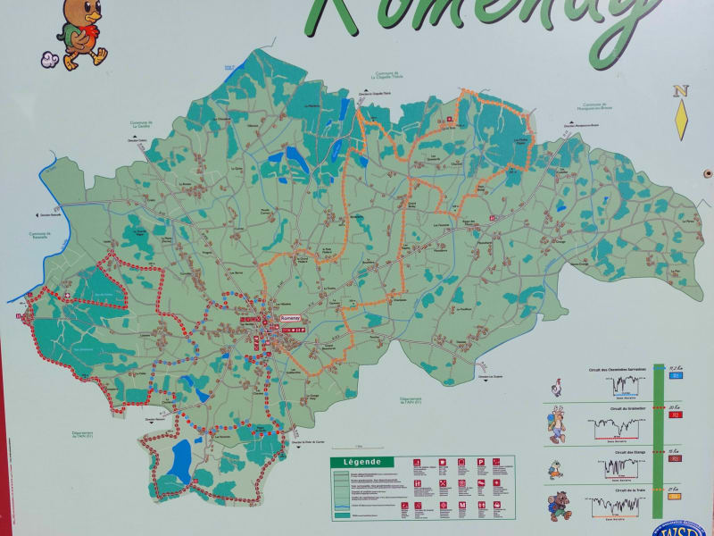 De Romenay à l'étang Morel - Romenay