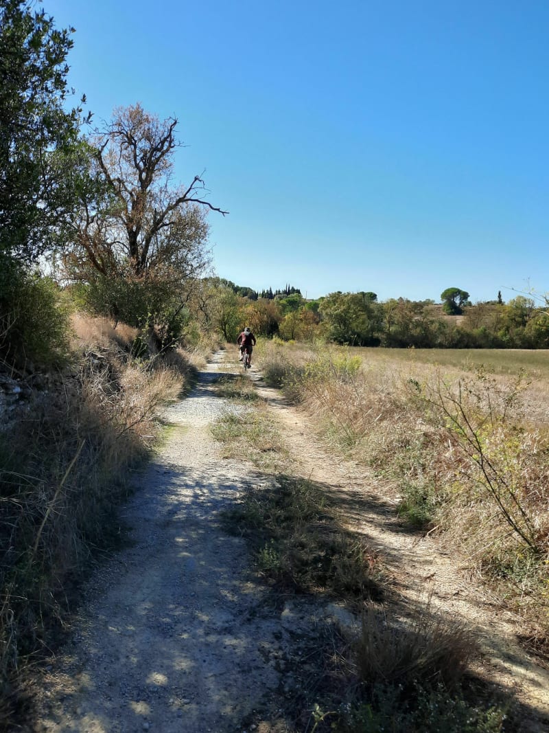 Chemin Penautier Villemoustaussou - Villemoustaussou