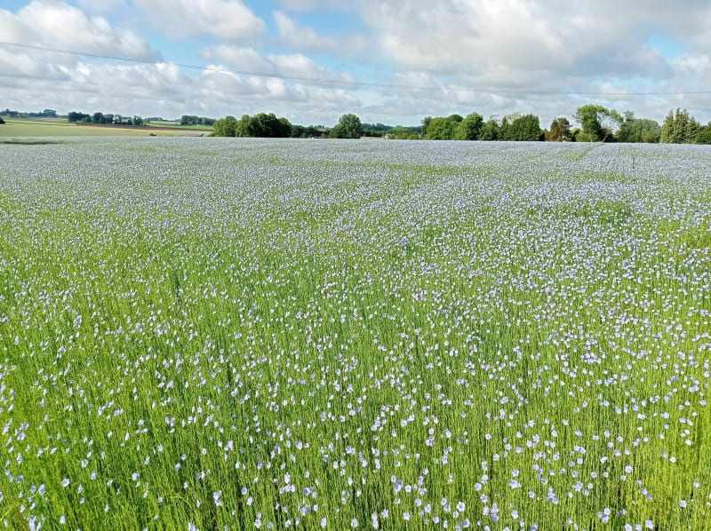 Boucle Cuverville - Villainville - Cuverville