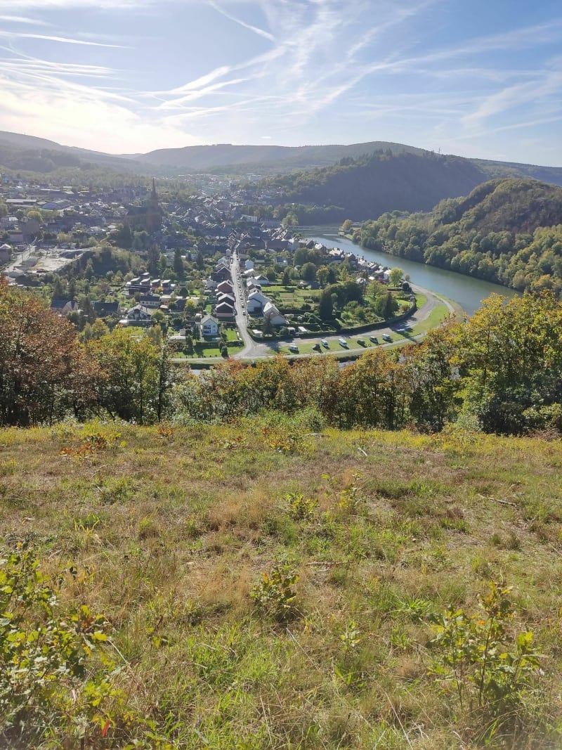Balade dans la forêt Hayboise - Haybes