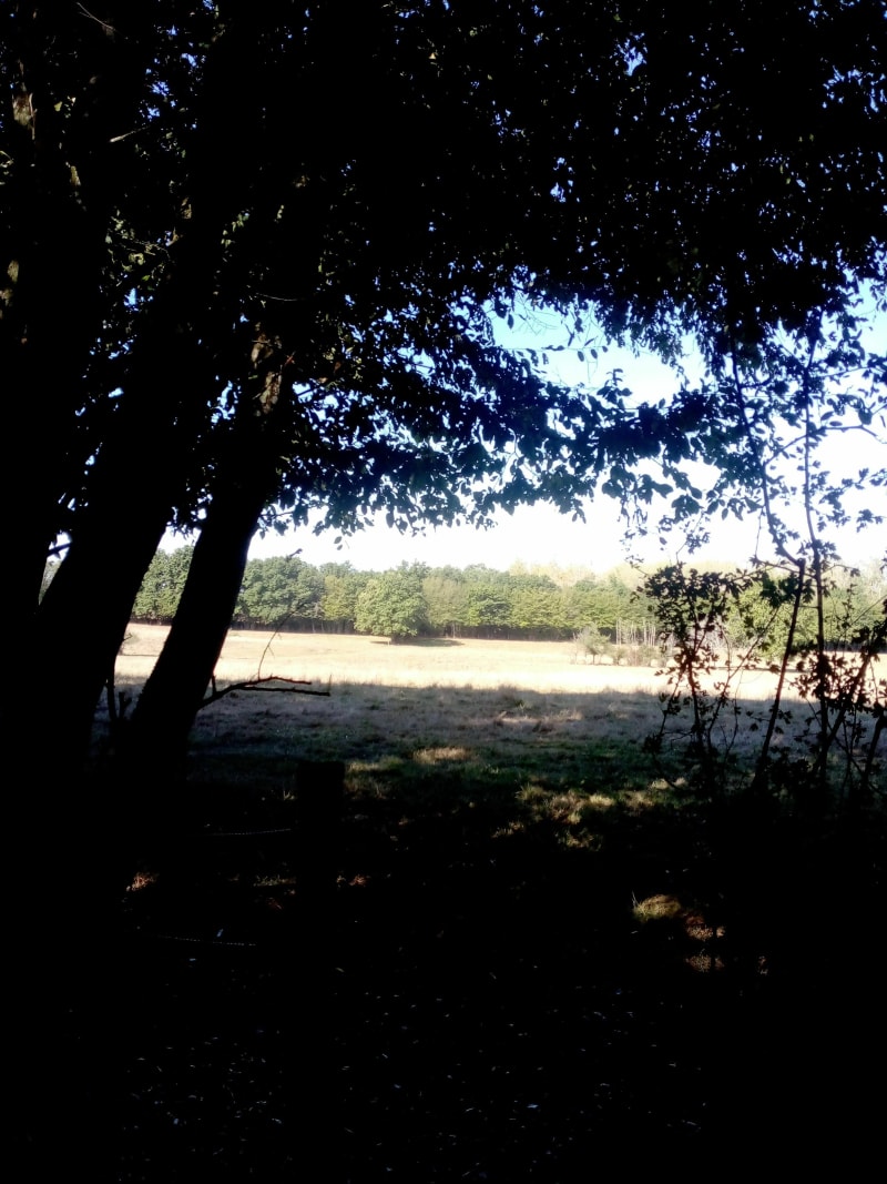 Grande rando à Frangy en Bresse - Frangy-en-Bresse