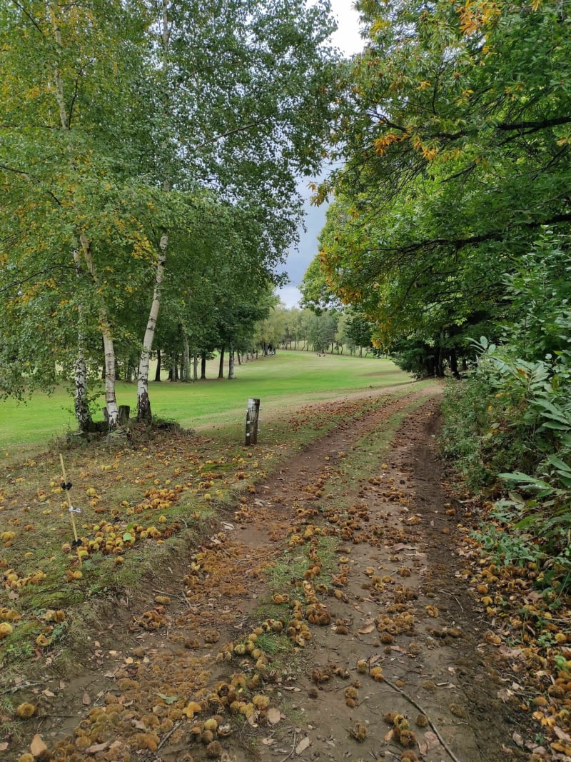 Tour du Coiroux et du golf à VTT - Aubazines