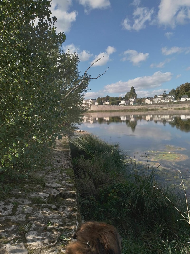 Île Charlemagne - Saint-Jean-le-Blanc