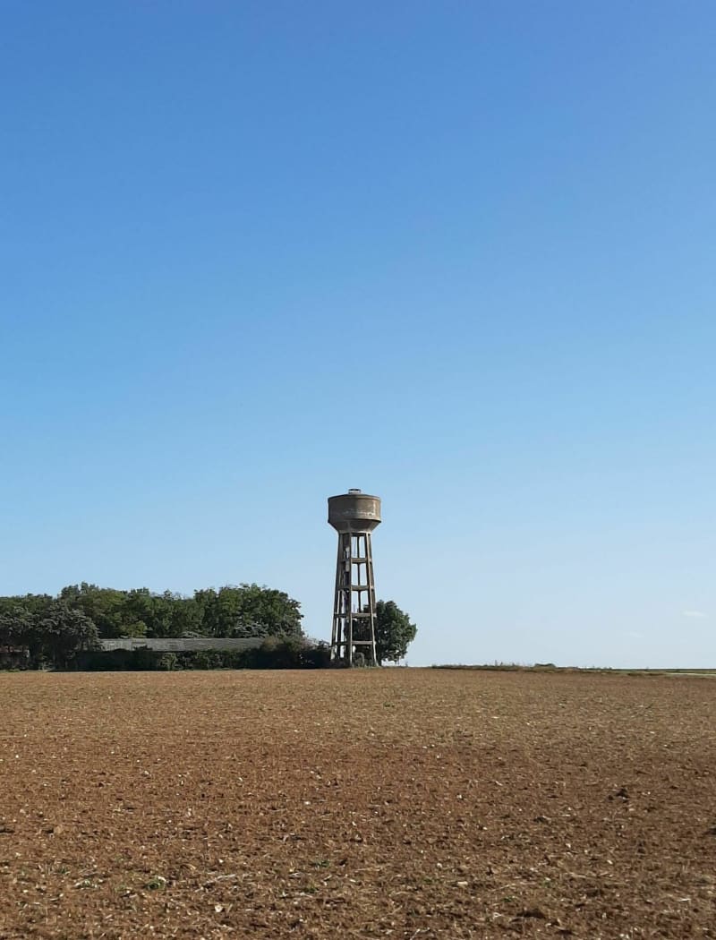 Autour de Saint-Georges, Fontaine, Ensoulesse, bois de Vayres - Saint-Georges-lès-Baillargeaux